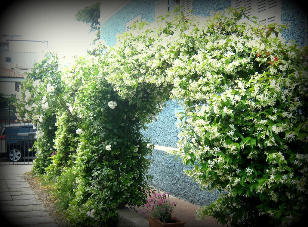 B&B Elisir Albenga Esterno foto