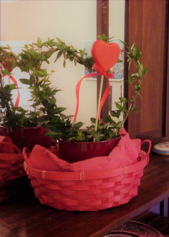 B&B Elisir Albenga Esterno foto
